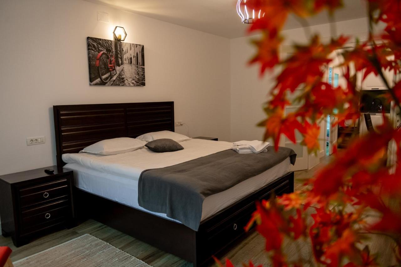 Old Town Suites Брашов Екстер'єр фото